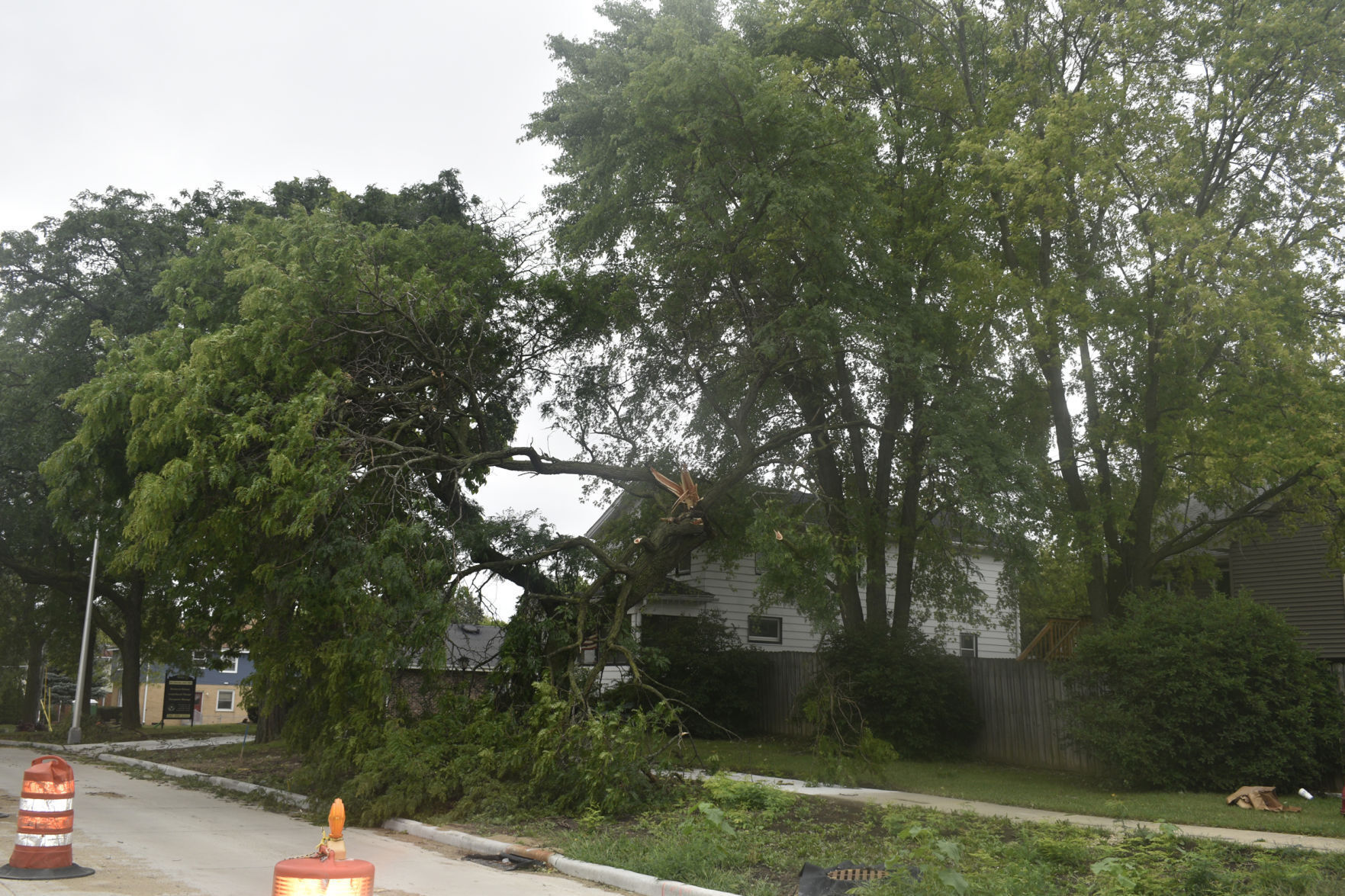 Tree down on 60th Avenue